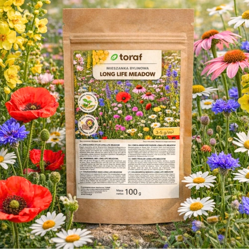 Łąka kwietna Mieszanka bylinowa Long Life Meadow 100g TORAF nasiona sklep rajogrodnika